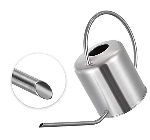 Arrosoir en acier inoxydable 0,3 l/0,9 l/1,3 l/1,5 l/2 l or ou argent pour plantes de maison avec poignée confortable, bec long, corps solide pour l'intérieur et l'extérieur