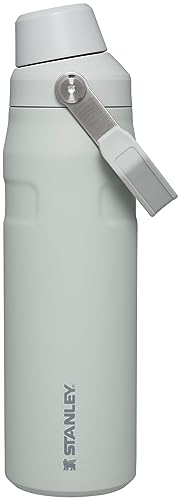 Stanley IceFlow Fast Flow Water Bottle 24 oz | Angled Spout Lid | Lightweight and Leakproof for...