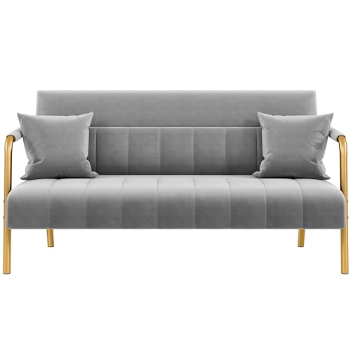 Yaheetech 56.6?W Modern Loveseat 2 Seater Sofa Luxurious Velvet Fabric Couch with Gold-Tone Metal Arms and Legs for Bedroom, Home Office, Studio Light Gray