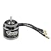 D4250EVO 4250 (3520) 600KV 800KV RC Outrunner Brushless Motor for UAV Aircraft Multicopters RC Plane Helicopter Part (800KV)