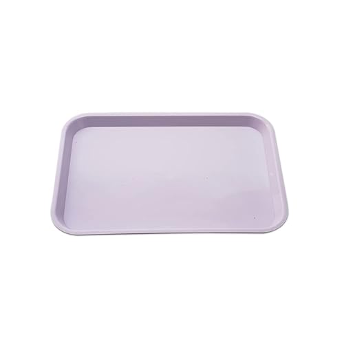 SNAWOP Bandeja para instrumentos dentales autoclavable tamaño pequeño bandeja plana de plástico médico para organizador de instrumentos morado