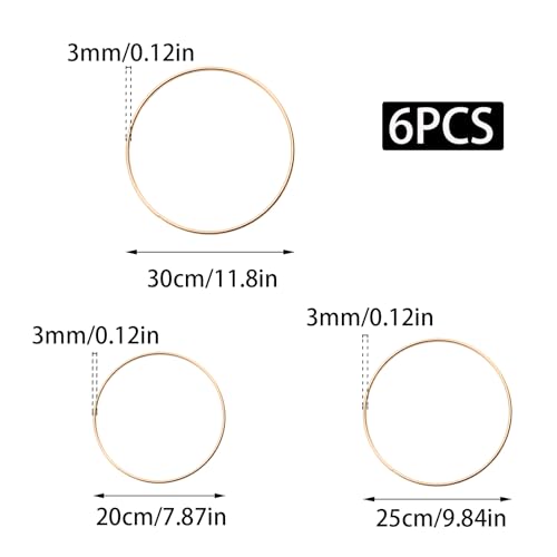Image of Pocoxll 6 Pcs Dream Catcher Rings, Gold Metal Floral Hoops, Metal Rings for Crafts, 3 Sizes(8 /10 /12 Inch)
