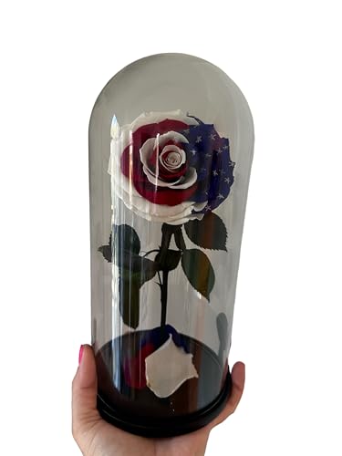 Rosa preservada con bandera de Estados Unidos PRESERVEDUSA natural de larga duración 6