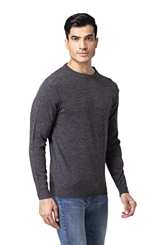 Image of Allen Cooper Solid Sweater for Men