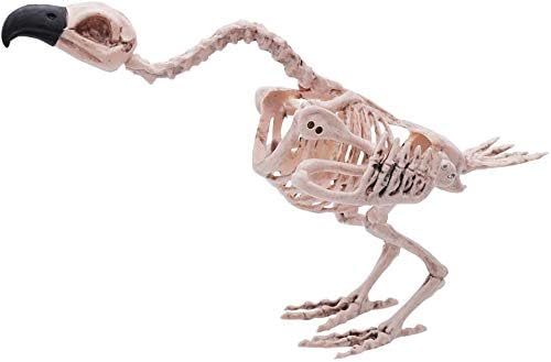 Halloween Decoration 16” Pose-N-Stay Vulture Skeleton Plastic Bones with Posable Joints for Pose Skeleton Prop Indoor/Outdoor Spooky Scene Party Favors Décor.