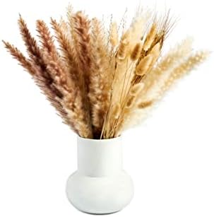 Pampas Grass | 40 Stems | 45cm - Boho Plant | Artisan Home Décor Real Dried Natural Pampas Grass | Dried Plants Bunny Tail Wedding Flowers for Vase.