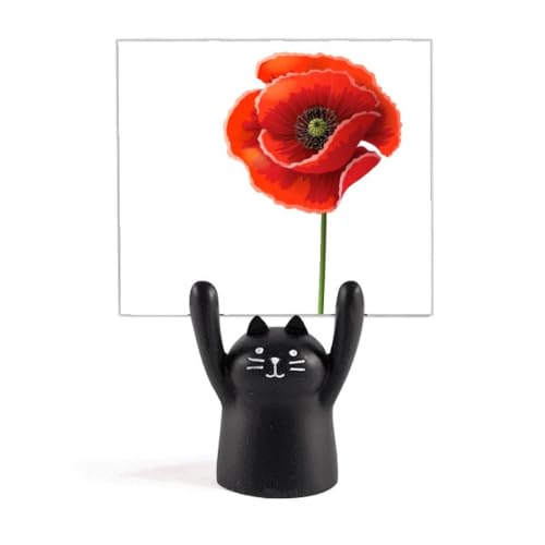 ԂԂ̌|p̊GqiQV̒P J[gD[LX^h^z_[