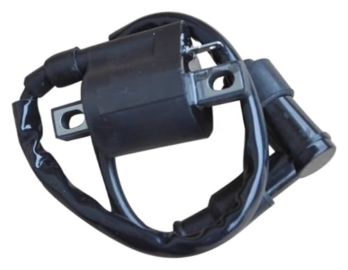 �p PW50 PW80 �r�b�O�z�C�[���`�����s�I�� 50 TTR125 TTR225 TW200 �_�[�g�o�C�N ATV �N���b�h 4 �փI�[�g�o�C Cdi �{�b�N�X�R�C���_�Α��u�_�΃R�C�� CDI �C�O�i�C�^�[