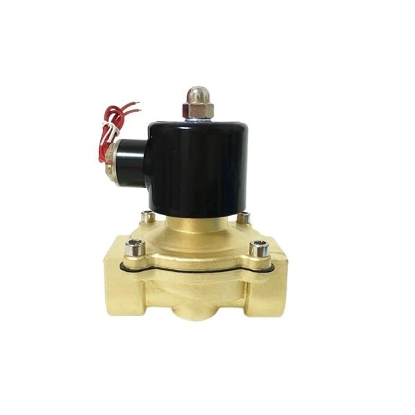 2W160-15 1/2 "2 Posiciones 2 Puertos válvula solenoide de Aire y Agua 24V neumática Control DC24V AC220V AC110V(Brass Body,AC220V)