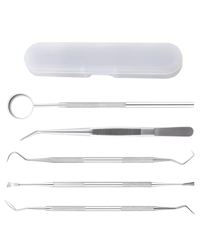 IPNSDON 5 pièces détartreur dentaire hygiénique en acier inoxydable kit de nettoyage des dents hygiénique plaque hygiénique crochet détartreur grattoir pour usage professionnel
