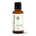 Plant Therapy Tea Tree Essential Oil 100% Pure, Undiluted, Natural Aromatherapy, Therapeutic Grade 30 mL (1 oz)