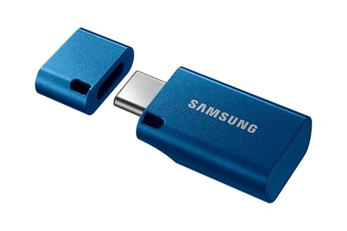 Samsung Clé USB Type-C, USB-C 128 Go, 400 Mo/s en Lecture séquentielle, USB 3.1, compatible PC, ordinateurs portables, tablettes et smartphones, bleu, ‎MUF-128DA/APC