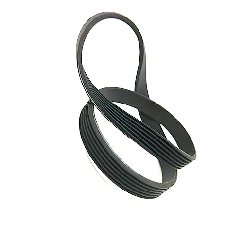 Pangocho-Cinghia di Trasmissione 8PJ282 4PJ282 3PJ282 7PJ282 10PJ282 12PJ282 7PJ282 Cinghia della Ruota motrice Cinghie di Trasmissione in Gomma (Size : 8ribs)