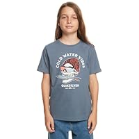 Quiksilver QS Skull - Camiseta - Niños 8-16 - 14 - Azul.