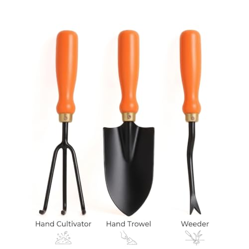 Image of Ocean Mart Garden Tool Set of 3 Pcs - Home Tools & Gardening Tools Kit for Home Garden- (Big Trowel, Cultivator, Weeder) - Terrace Gardening Accessories, Gardening Essentials, Garden Tools Heavy Duty