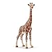 Schleich Wild Life - 5PC African Animal Toy Playset with Lion, Elephant, Monkey, Alligator and Giraffe Figurines - Safari Animal Toys for Boys and Girls - Figures for Toddlers and Kids Ages 3+ | 72286