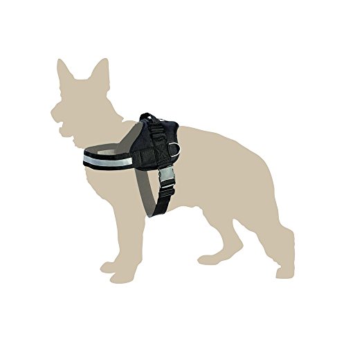 Dingo Dog Harness Handmade Reflective STRONG Modern Sport Type Red 13479 - Image 2