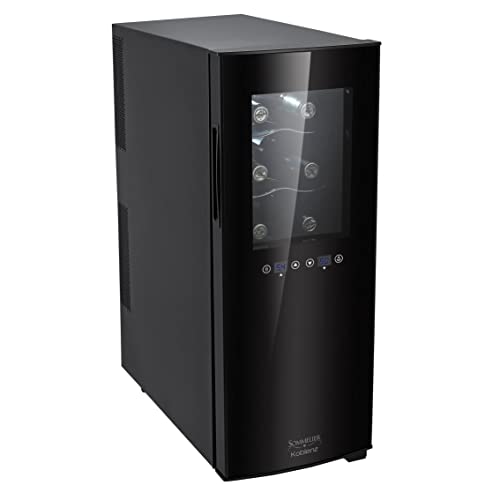 How to choose the right size dual zone wine cooler fridge for my needs