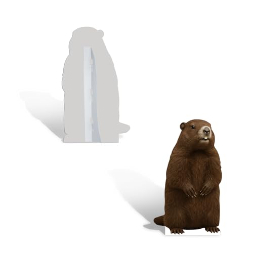 Image of Groundhog 6FT Life Size Cardboard Cutout, 1 PC | Fun Animal Standup for Events, Party Decor, Birthday, Photos, Holiday, Celebration, Photo Booth, Gift Giving, Supplies