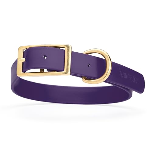 Image of Viper Biothane Heavy Duty Waterproof Dog Collar Strong Coated Nylon Webbing w /Solid Brass Hardware Odor-Proof Easy to Clean High Performance Fits Small Medium or Large Dogs, Violet Purple