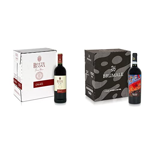Vino Merlot Vino Italiano dal Gusto Raffinato e Profumo Fruttato 12% Vol 6 Bottiglie da 750 ml & Brumale Vino DAvola Sicilia DOC Rotondo e Completo rosso nero