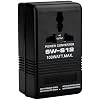 Voltage Converter 110V to 220V Step-Up & Step-Down Power Two-Way Conversion Voltage Converter Transformer for Travel, RV, and Camping(Black, 100W)