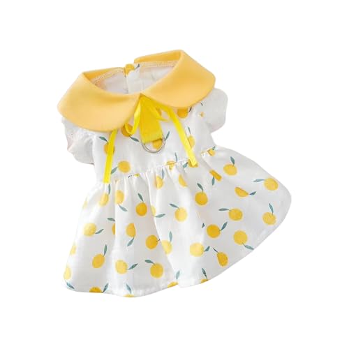 [Firmiarii]phX ^yʋCztėp vZXfUC y K gCh `   ybgEFA