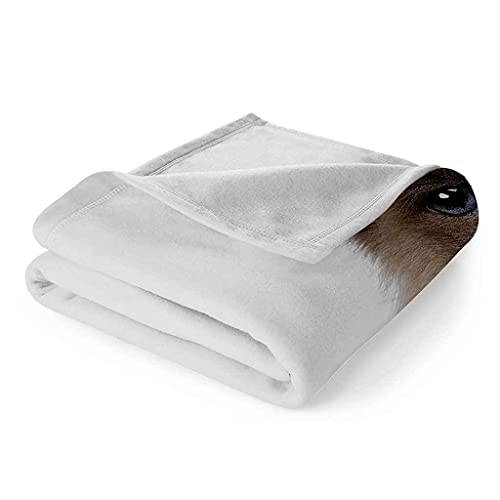 Couverture microfibre douce chat 3D plaid lit plaid canapé toutes saisons - 7