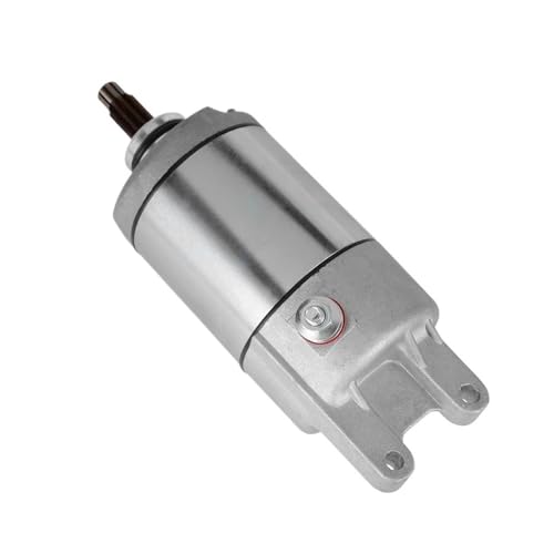 Démarreur de moteur de VTT TRX300 pour BigRed 300 et pièces FW 31200-HC4-003