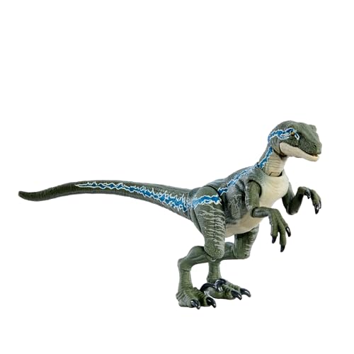 Image of Mattel Jurassic World Hammond Collection Dinosaur Action Figure, Velociraptor 'Blue' Dino Toy with Articulation