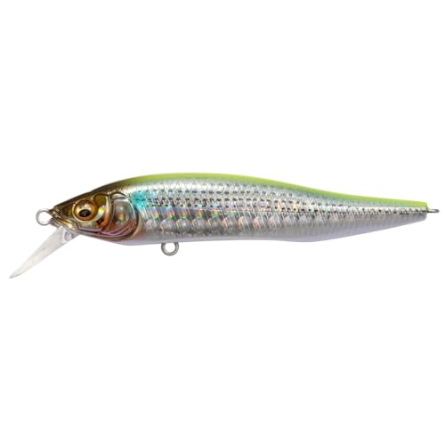 Amazon.co.jp: Megabass(メガバス): ミノー
