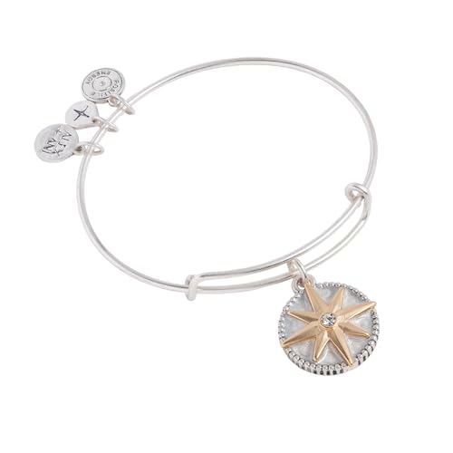 Alex and Ani Compass Charm Bangles