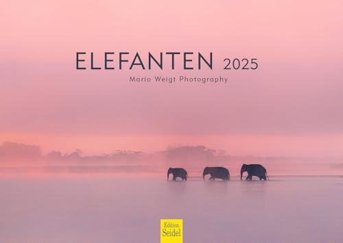 Edition Seidel Premium Kalender Elefanten 2025 Format DIN A3 Wandkalender Tierkalender Tiere Elefant Wildtier Natur Mario Weigt