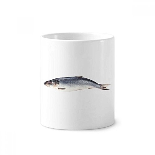 Gobelet céramique océan poisson pour brosse à dents et stylos de bureau
