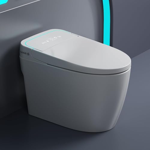 Smart Toilet with 4 Wash Options