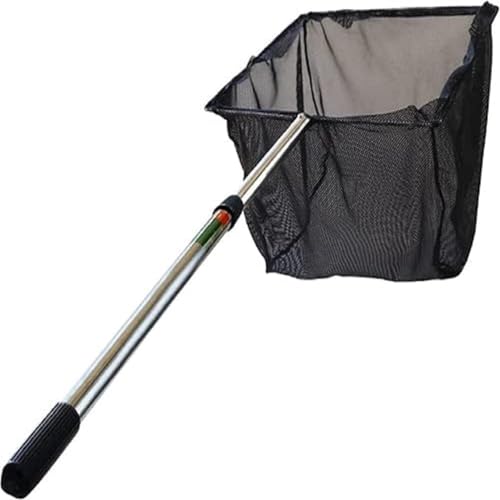 SANLWZSF ق̋ Ϗ܋plbg  LkXeXnh̊p` ȋьrƒr̉萴| זԉD Hic S~  ƒr̉萴| Lk ̒ryʂ̐|c[ S~ | |  r tlbg