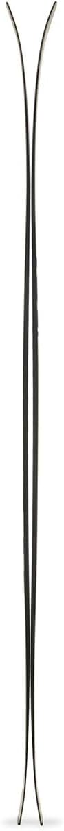 2026 Volkl Revolt 101 Skis