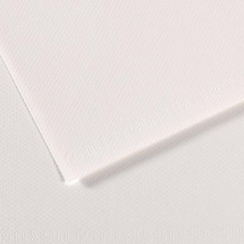 Lot de 10 Feuille Mi-Teintes® 75x110 160g/m², coloris blanc 335