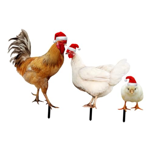 GANAZONO 3NX}XpAN`LK[fXe[NX_ ʃvg ϋv [X^[{`[t OŐ◠