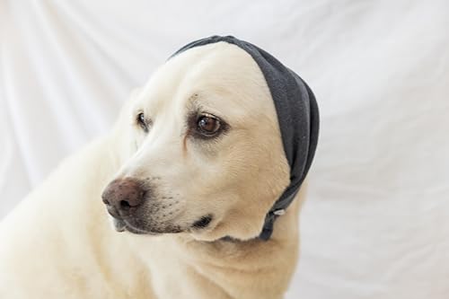 Image of Calming Dog Ear Cover - Anti-Anxiety & Stress Relief Neck Gaiter for Surgery Recovery, Bathing, Grooming, Thunder & Fireworks Grey L