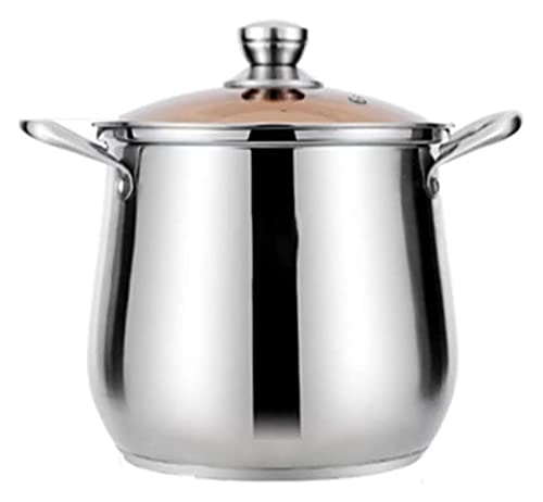 Sartén Wok Profesional Master Chef de Acero Inoxidable para Horno Cacerola con Tapa Utensilios...