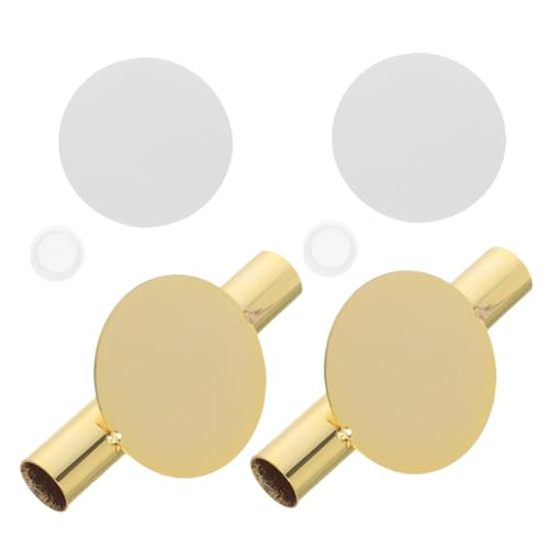 Ciieeo 2pcs Wall-Mounted Metal Flower Vase Tubes with Adhesive and Plugs Top-Bottom Open Memorial Wall Vase Holders for Faux Dried Flower Display Space-Saving Vertical Decor for Home and