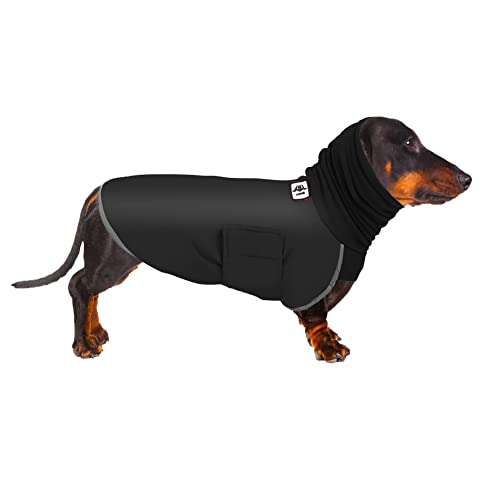 Dachshund Raincoat, Dachshund Clothes for Dog, Dachshund Coat, Dachshund Winter Coat, Dachshund Raincoat Waterproof, Coat Miniature Dachshund, Miniature Dachshund Raincoat for Small Dog (L, Black) Dachshund Raincoat, Dachshund Clothes for Dog, Dachshund Coat, Dachshund Winter Coat, Dachshund Raincoat Waterproof, Coat Miniature Dachshund, Miniature Dachshund Raincoat for Small Dog (L, Black)