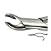 American Extraction Forceps, Upper Molars No. 15