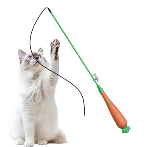 Canne à pêche pour chat ludique stimulation et ennui