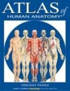 Atlas of Human Anatomy (Quickstudy Books)