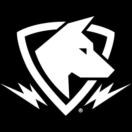Update: See Us in Durham, NC at NC Comicon - Nov 9-11 + More!