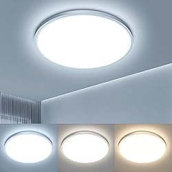 Lámparas Para Cocina Easy EASY EAGLE Lámpara de Techo LED con Función de Memoria 36W 3240LM Plafón 3 Colores 3000K-6500K IP44 Lamparas de Dormitorio Baño Cocina Sala de Estar Pasillo Habitacion Balcón Garaje Ø30CM