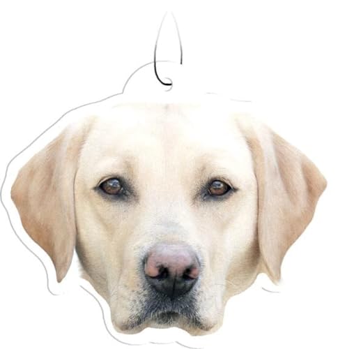 Spoontiques Yellow Lab Air Freshener (3pk) - Dog Themed Car Interior Accessories & Essentials - Hanging Deodorizer, Long-Lasting Fragrance (New Car Scent)