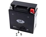 Maße LxBxH 120 x 60 x 128mm LANDPORT Batterie 12 5 Ah (GB5L-B) [wartungsfrei & versiegelt] kompatibel für Malaguti, Simson, Vespa
